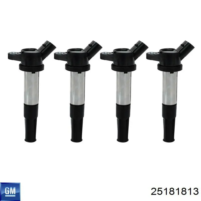 25181813 GM/Chevrolet