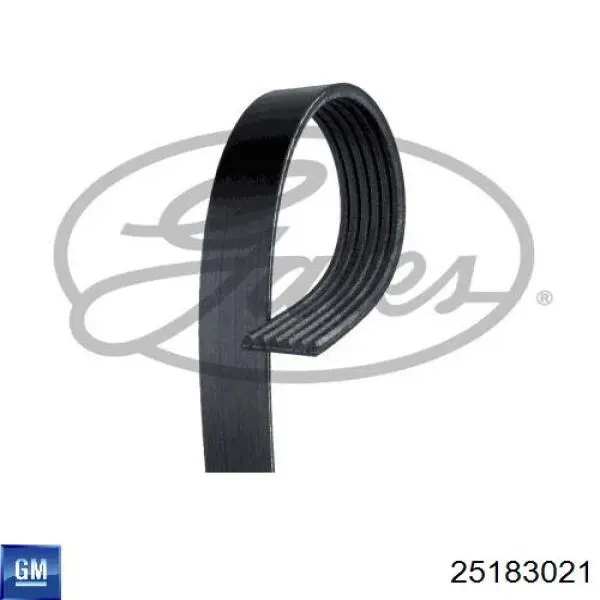 Клиновый ремень General Motors 25183021 цена, от 15.66 USD