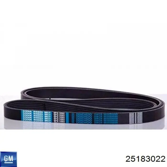 Ремень генератора 25183022 General Motors