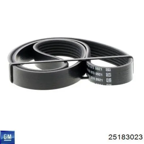 Ремень генератора 25183023 General Motors