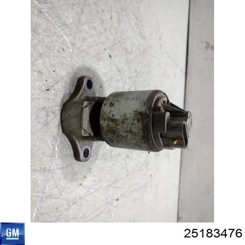Клапан EGR, рециркуляції газів 25183476 General Motors