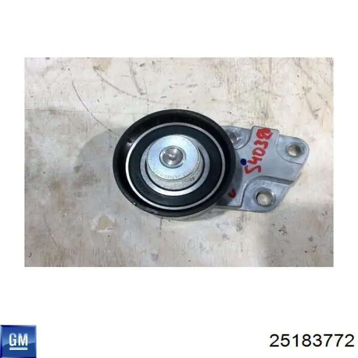 Compre 25183772 General Motors Rolo de reguladora de tensão da correia do mecanismo de distribuição de gás