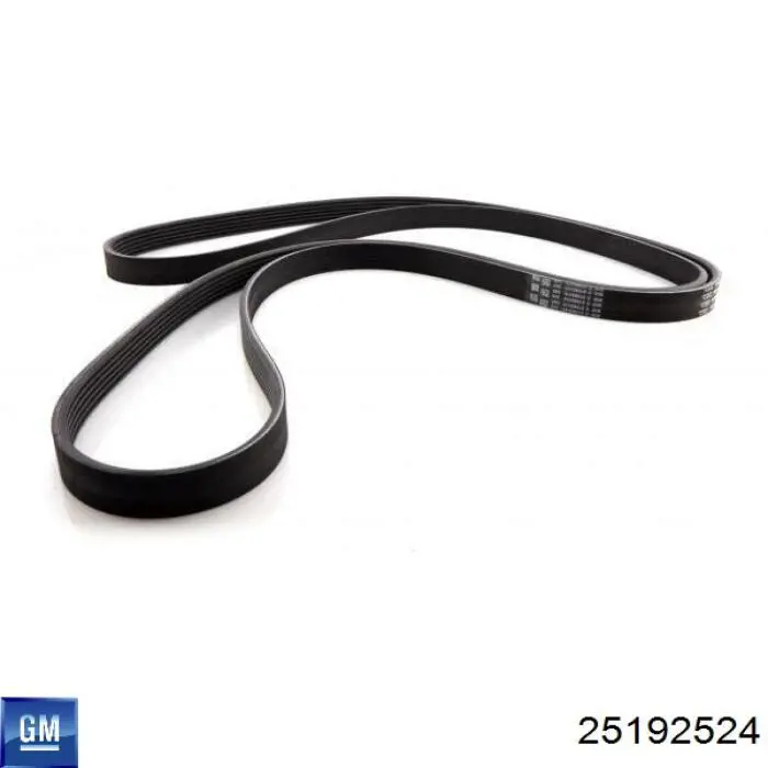 Клиновый ремень General Motors 25192524 цена, от 18.88 USD