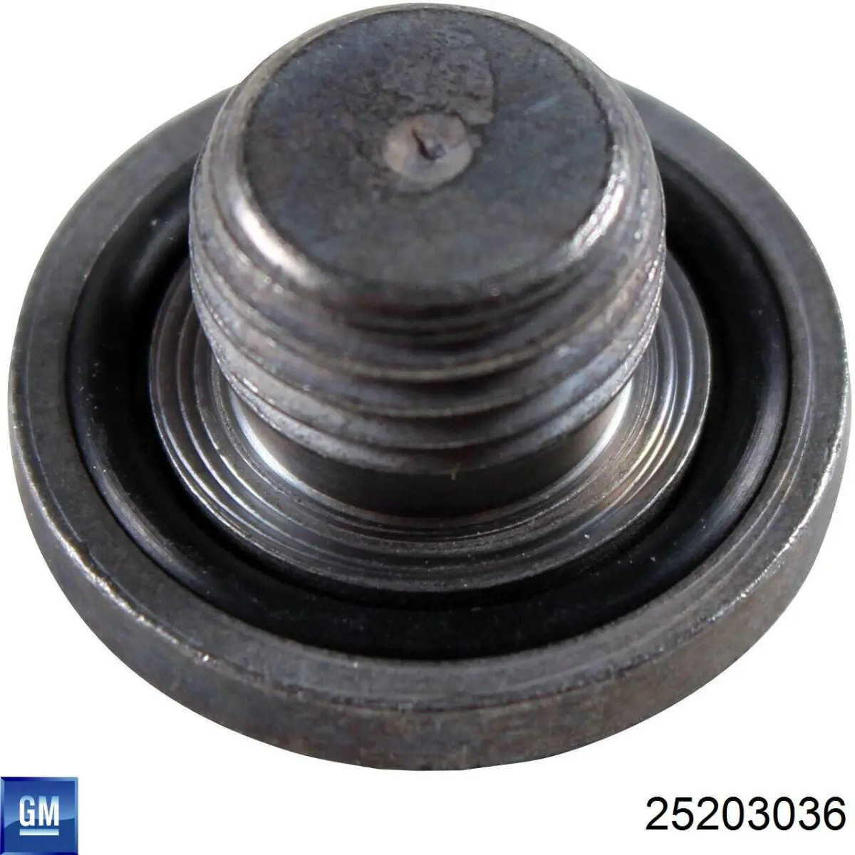 25203036 GM/Chevrolet
