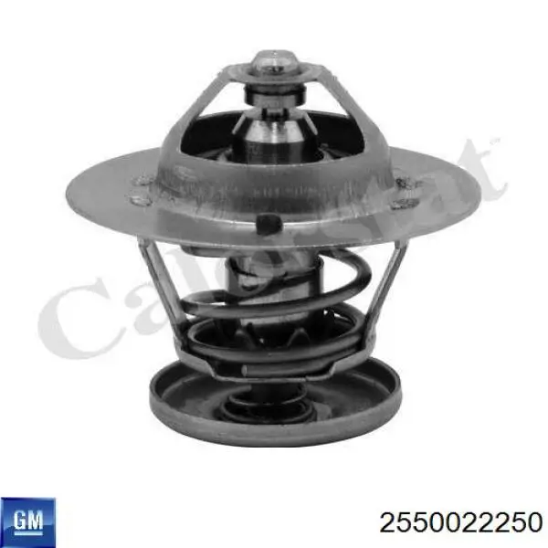 2550022250 General Motors Авто термостат
