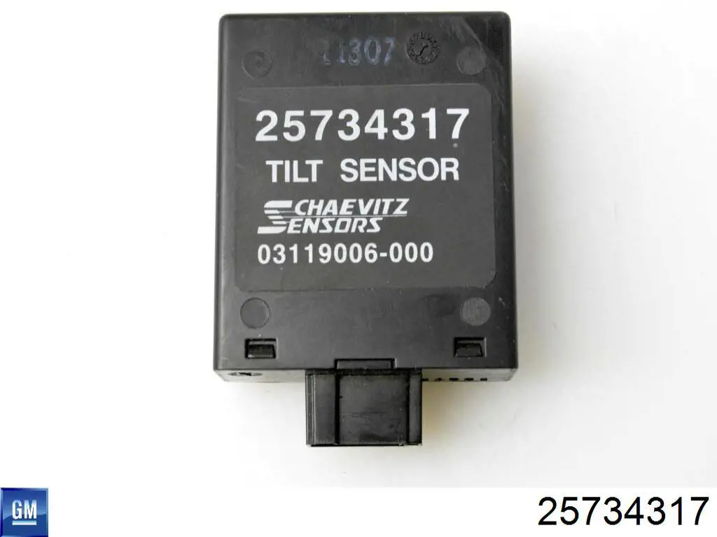 25734317 General Motors 