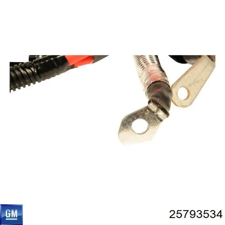  General Motors 25793534
