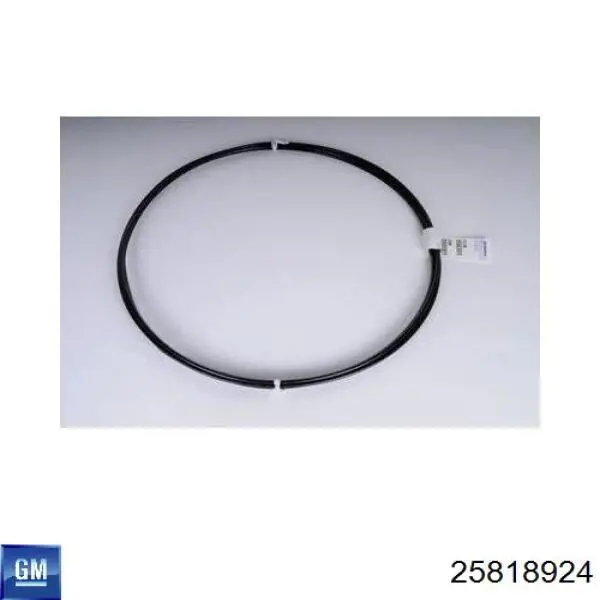 Купить 25818924 General Motors 