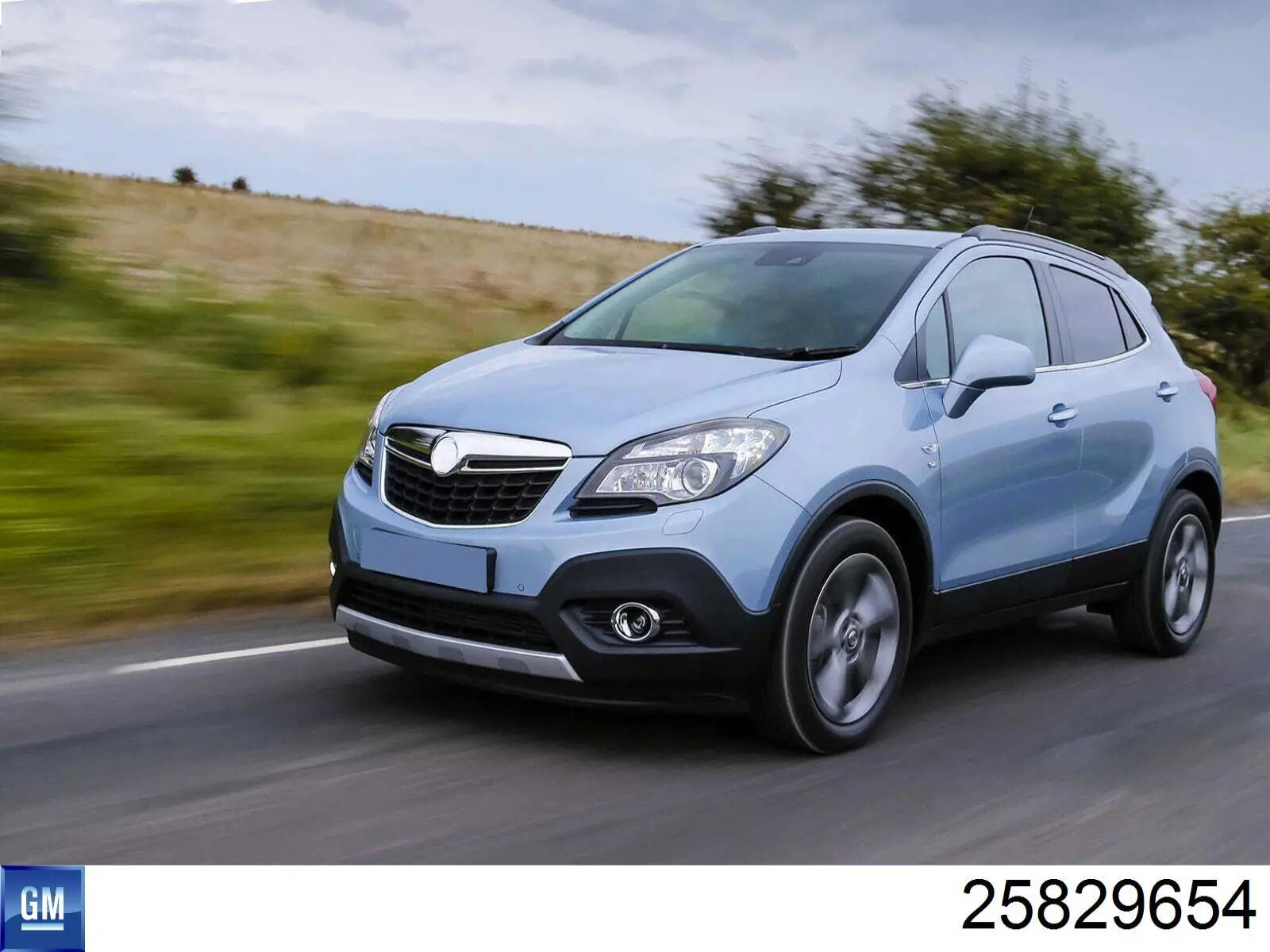Купить 25829654 General Motors Туманки