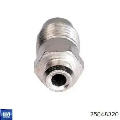 Поршень суппорта тормозного переднего 25848320 General Motors