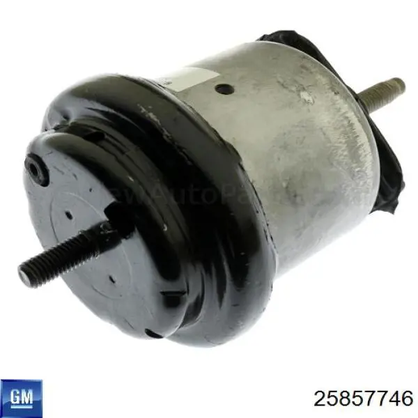  General Motors 25857746 цена, от 161.11 USD