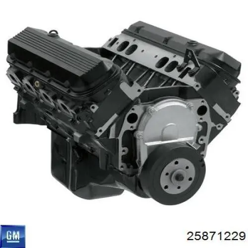 25871229 General Motors Амортизаторы задние