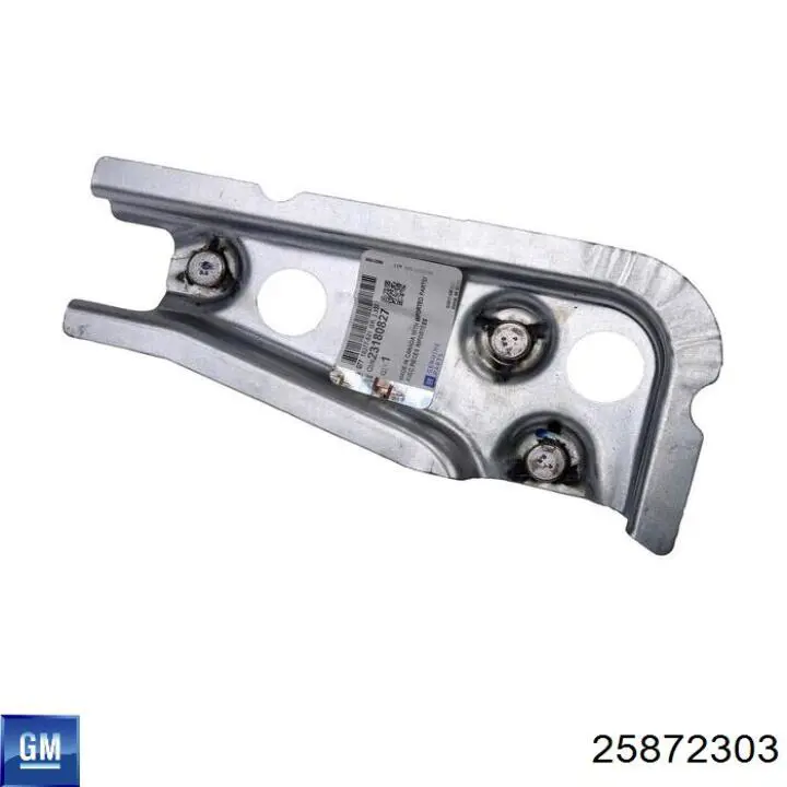Водосток лобового стекла, жабо 25872303 General Motors