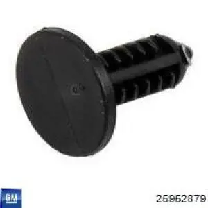  General Motors 25952879