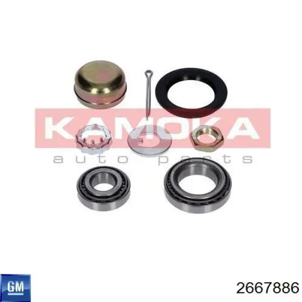 2667886 General Motors Подшипник задней ступицы внешний