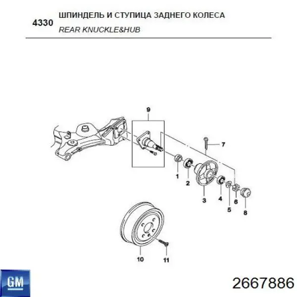 Купить 2667886 General Motors Подшипник ступицы задней наружный