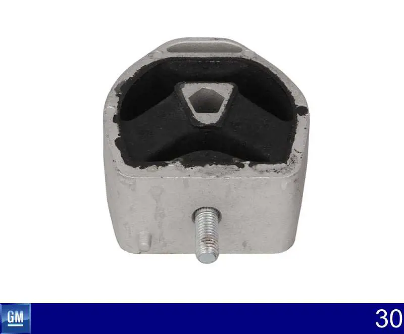  General Motors 30 цена, от 9.89 USD