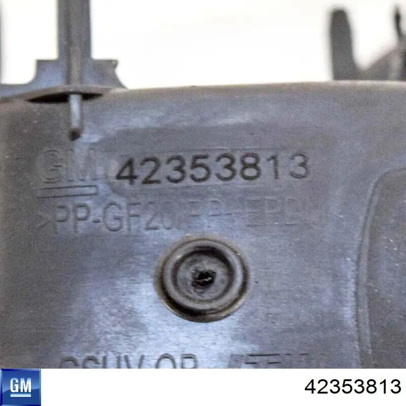 42353813 General Motors 
