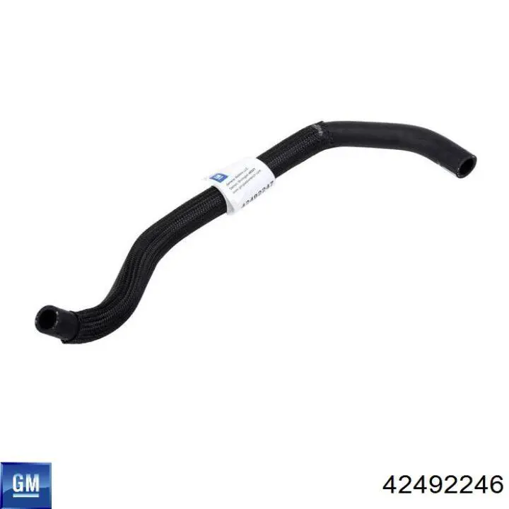  42492246 General Motors