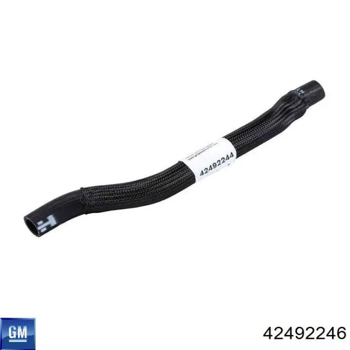 42492246 General Motors 