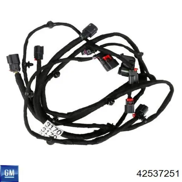  42537251 General Motors