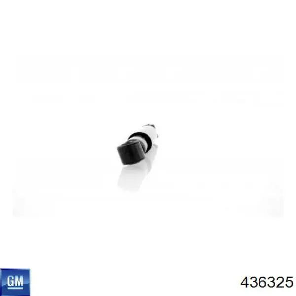 Амортизатор задний 436325 General Motors