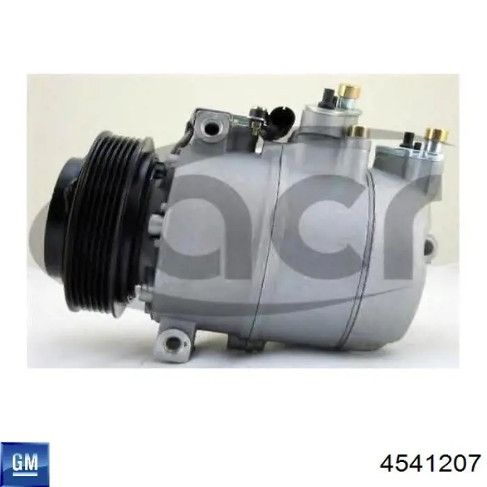 4869483 General Motors Компрессор хладагента