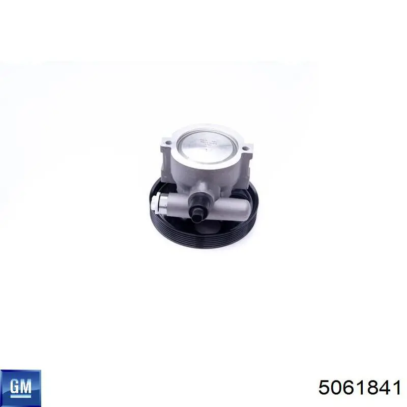 5061841 General Motors ГУР руля
