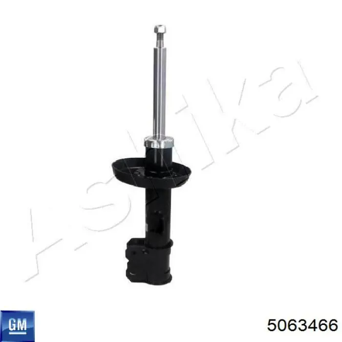 Амортизаторы передние General Motors 5063466