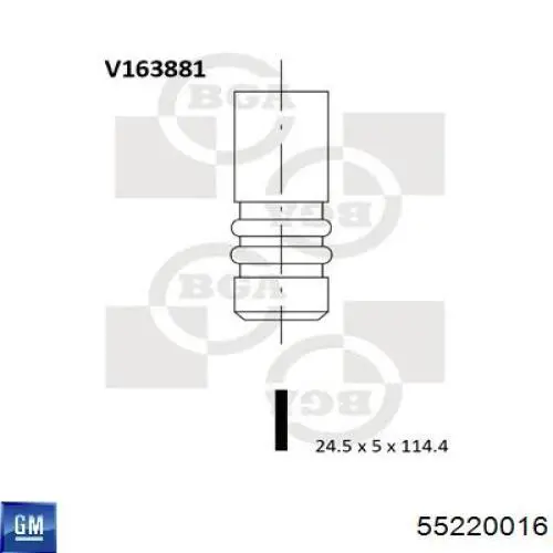 Купить POPE136B0N AMP/Paradowscy Выпускной клапан