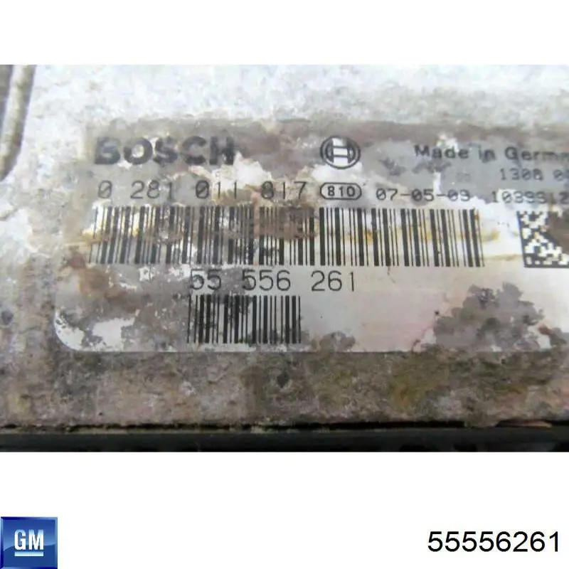 55556261 General Motors Мозги двигателя