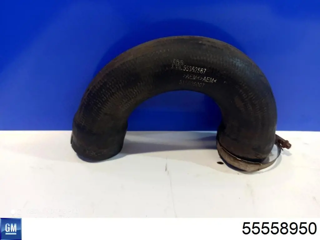  General Motors 55558950 цена, от 22.57 USD