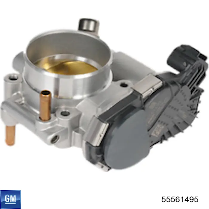 Купить 55561495 General Motors Блок дроссельной заслонки