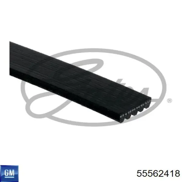 Ремень генератора 55562418 General Motors