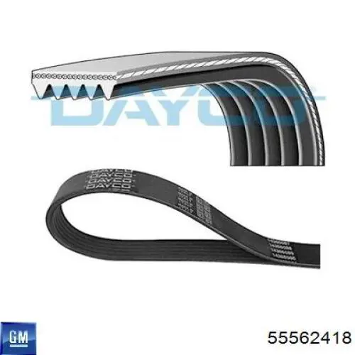 Купить 55562418 General Motors Ремень генератора