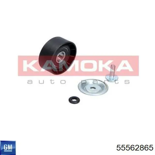 Паразитный ролик 55562865 General Motors