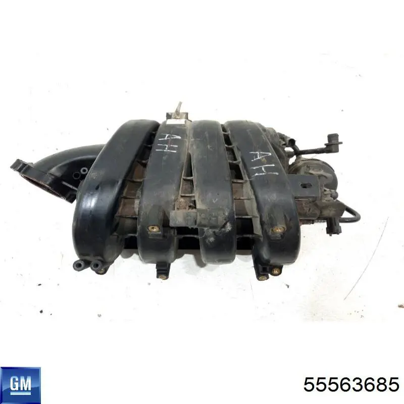 55563685 General Motors 