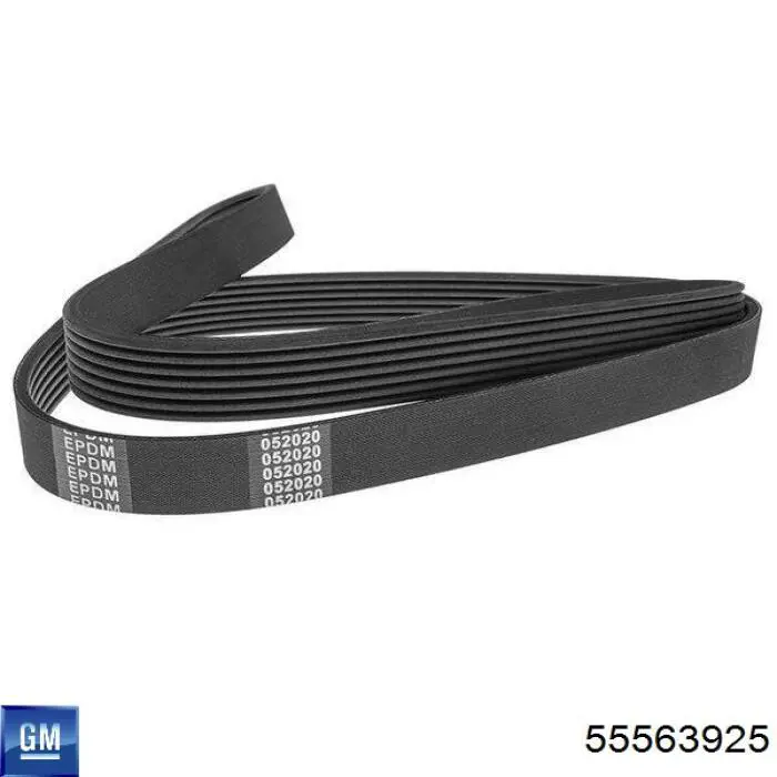 Ремень генератора 55563925 General Motors