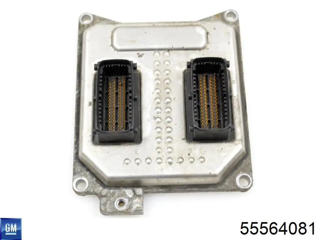 55564081 General Motors 