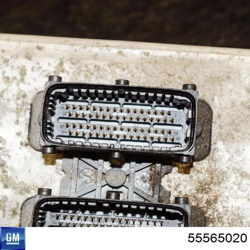 55565020 General Motors 