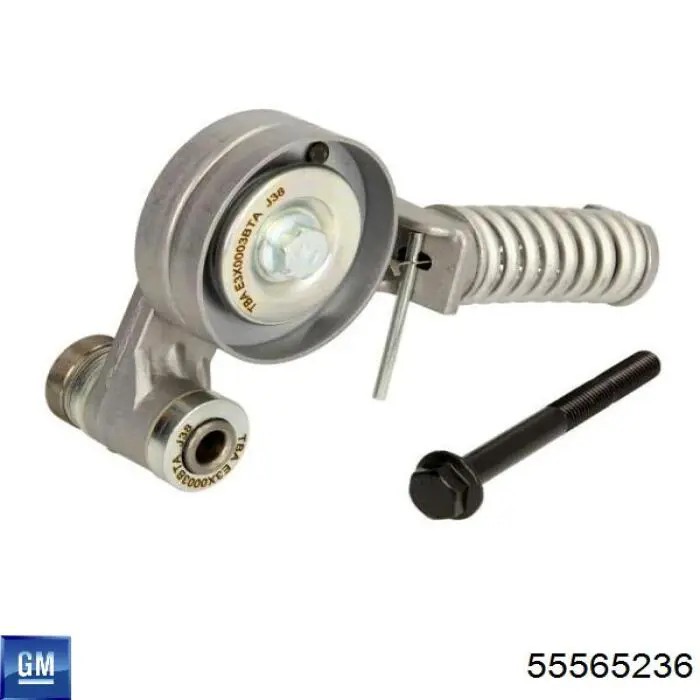 Купить 55565236 General Motors Компрессор климатической установки