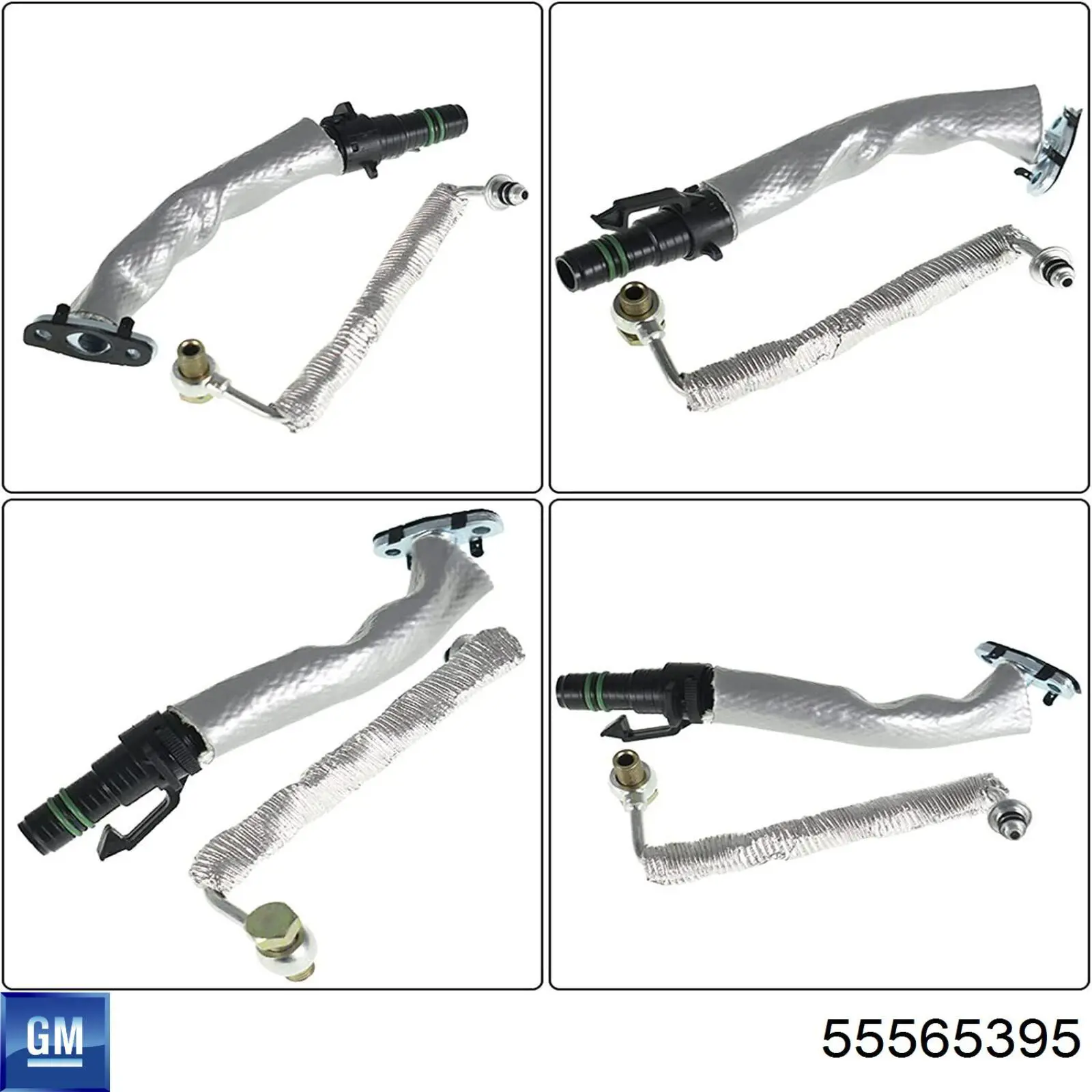 55565395 General Motors 