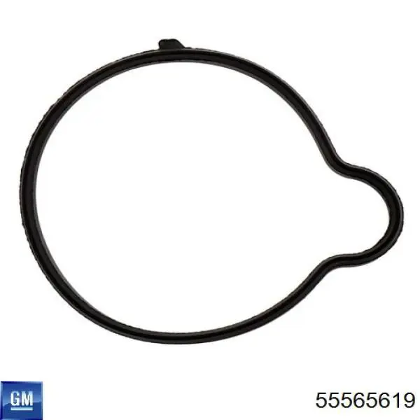 Compre 55565619 General Motors Vedante de termostato