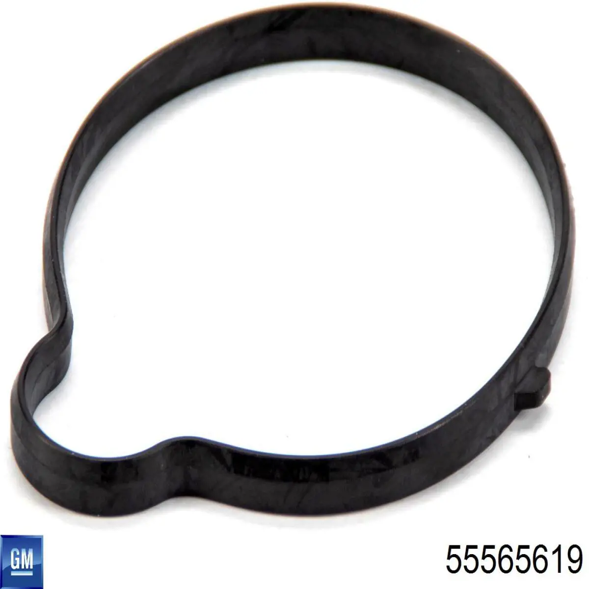 Vedante de termostato 55565619 General Motors
