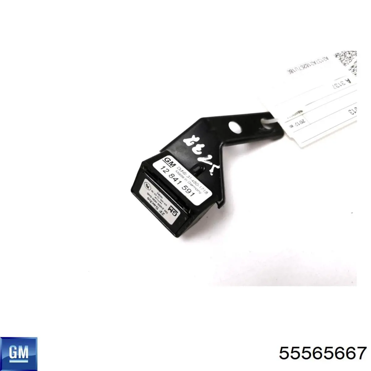 55565667 General Motors 