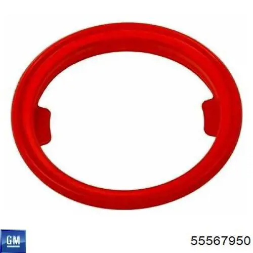 Купить 55567950 Opel Пружина клапана