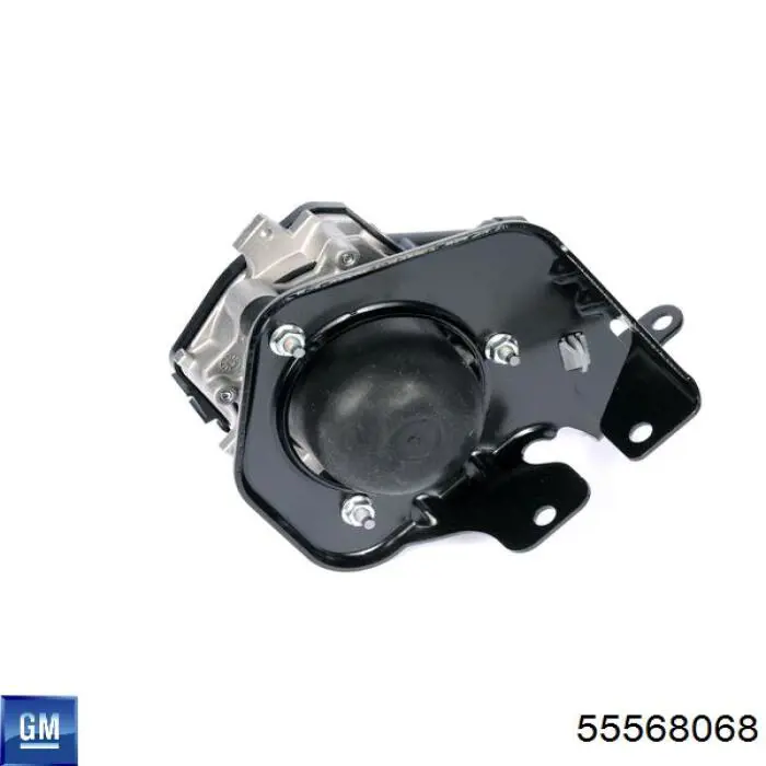 55568068 General Motors 