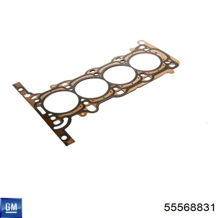 55568831 General Motors 