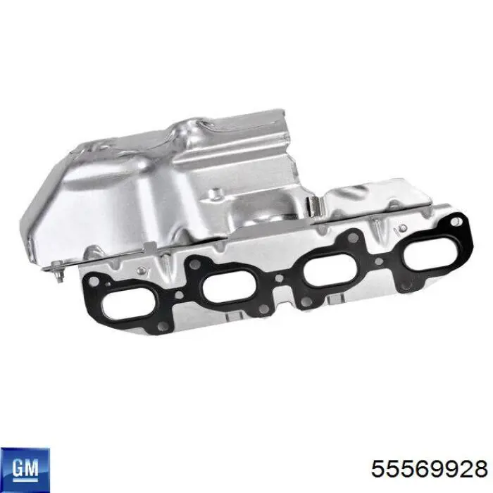 55569928 General Motors 