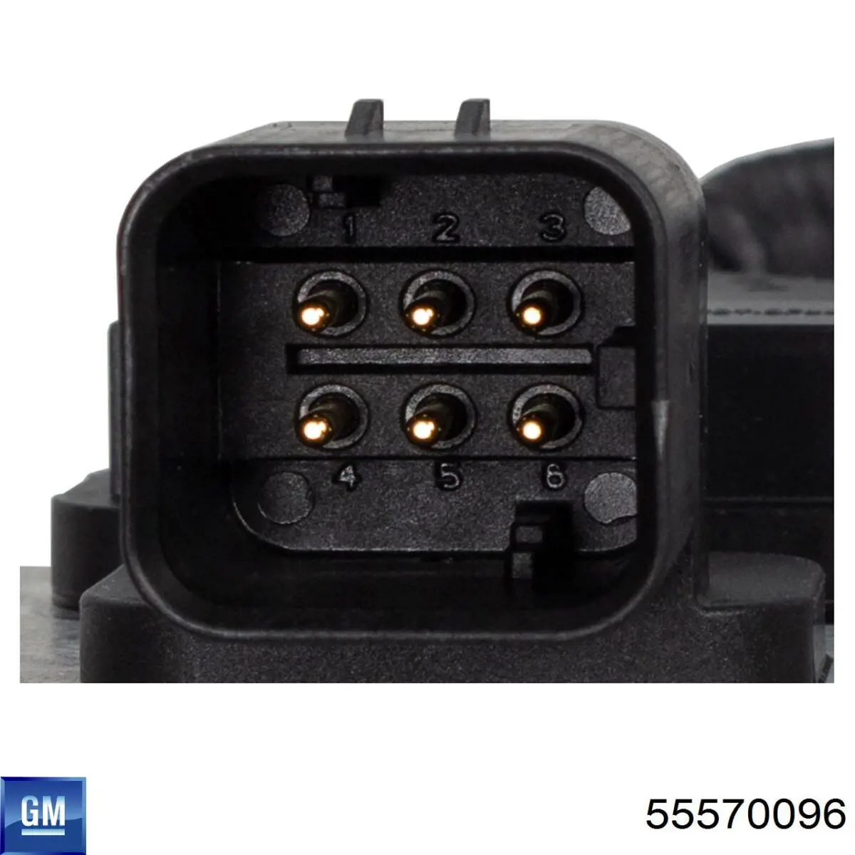 55570096 General Motors 